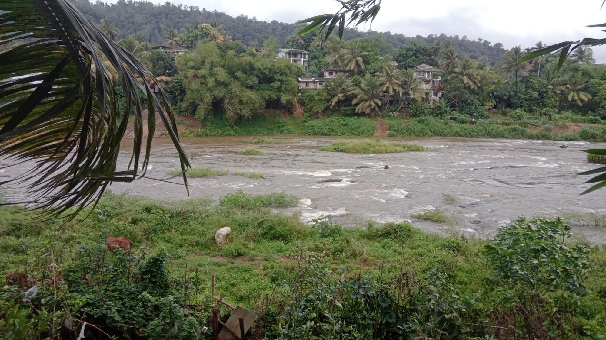 Kandy River Garden מראה חיצוני תמונה
